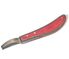 Bassoli - Becca Loop Knife 